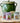 Esprit Provence Herbs from France ~ Oregano, Garlic, Thyme & Basil