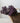 Naturally Dried Purple Greek Oregano Bunch