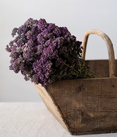 Naturally Dried Purple Greek Oregano Bunch