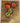 Vintage Oil Painting of Geraniums on Canvas