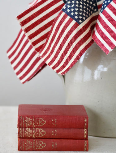 Vintage Funk & Wagnalls New Standard Red Encyclopedias, Set of 3