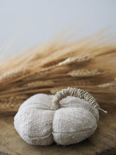 Handmade Stackable Heirloom Pumpkins with Twine Stem