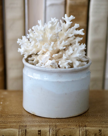 A white ceramic pot containing a decorative white coral branch arrangement, set on a rustic wooden surface with a blurred wood-paneled background.