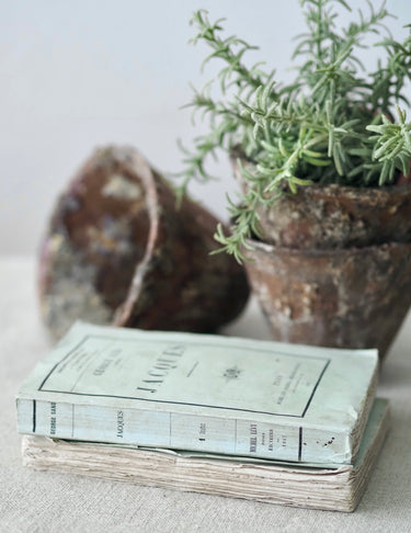 Antique French Green Rag Books, Set of 2