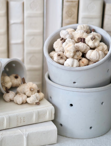 Bag of Natural Dried Peepal Pods