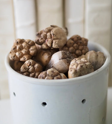 A white cheese mold filled with keya pods. Fall decorating vignette.