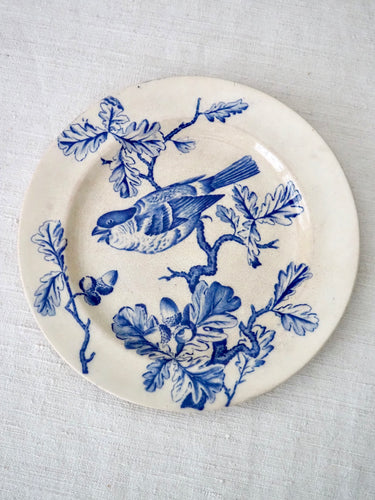 Grove & Stark Blue Bird English Transferware Plate