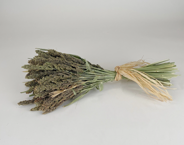 Naturally Dried Millet Bunch